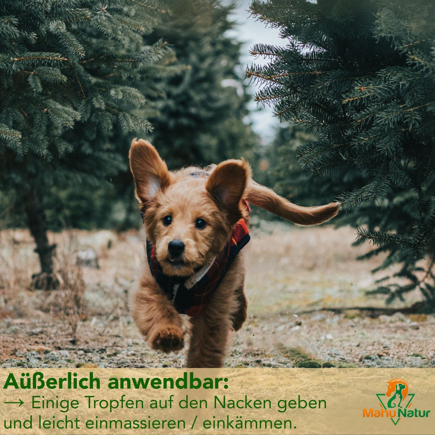 Mahu Natur 100 ml Schwarzkümmelöl Für Hunde + 10% Kokosöl - Ungefiltert - Nachhaltige Glasflasche Mit Glaspipette - Optimal Fürs Barfen - Tiny Paws Boutique