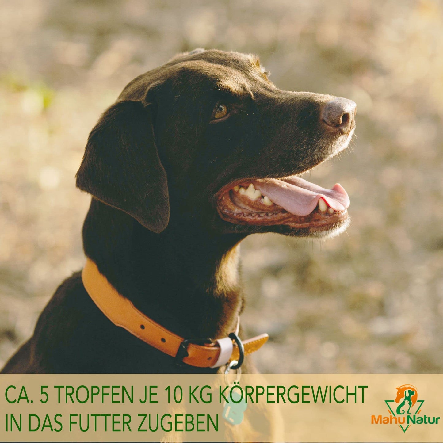 Mahu Natur 100 ml Schwarzkümmelöl Für Hunde + 10% Kokosöl - Ungefiltert - Nachhaltige Glasflasche Mit Glaspipette - Optimal Fürs Barfen - Tiny Paws Boutique