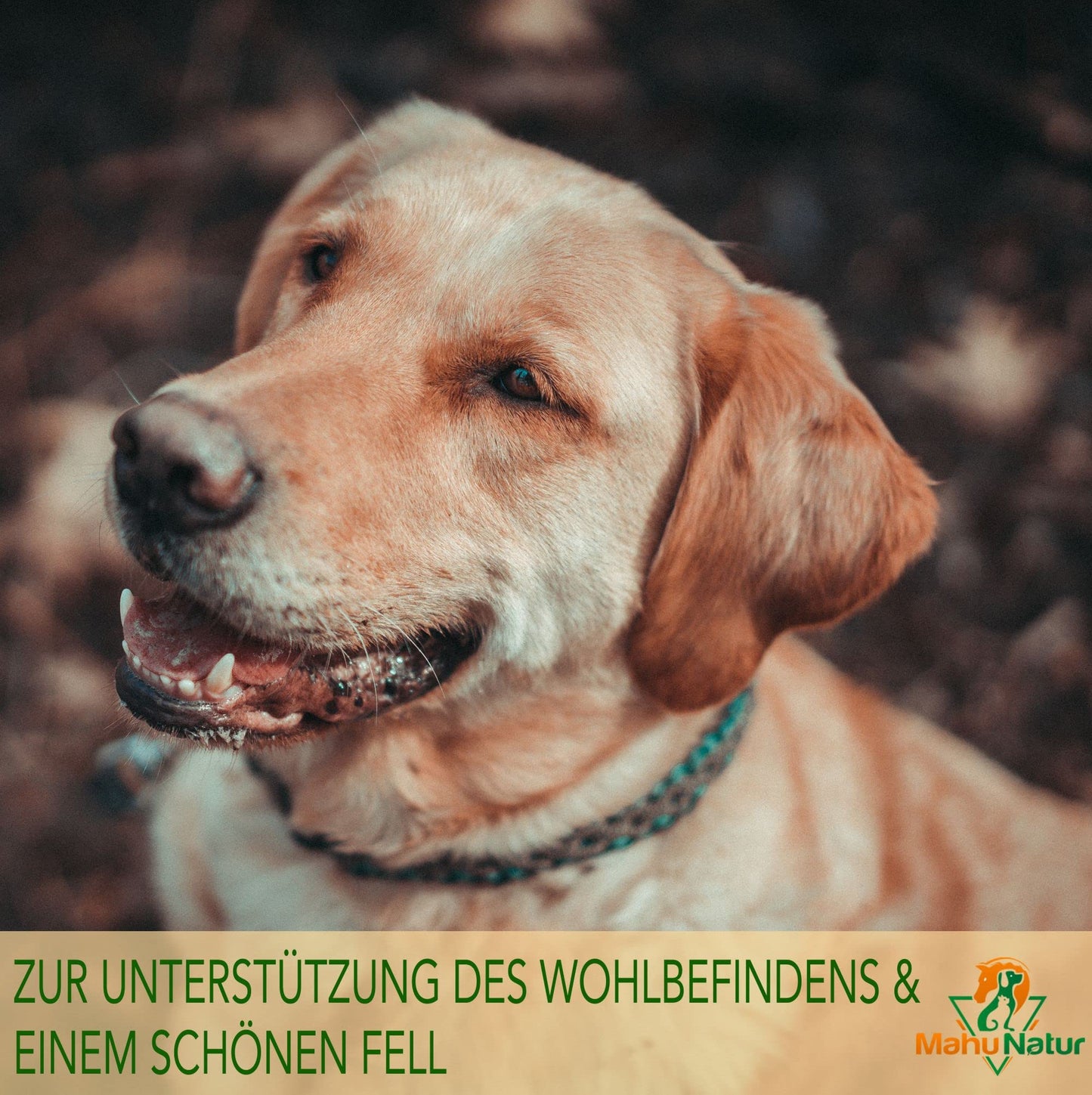 Mahu Natur 100 ml Schwarzkümmelöl Für Hunde + 10% Kokosöl - Ungefiltert - Nachhaltige Glasflasche Mit Glaspipette - Optimal Fürs Barfen - Tiny Paws Boutique